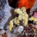 crab_decorator_rr_sur_h_0832_tha2336.jpg